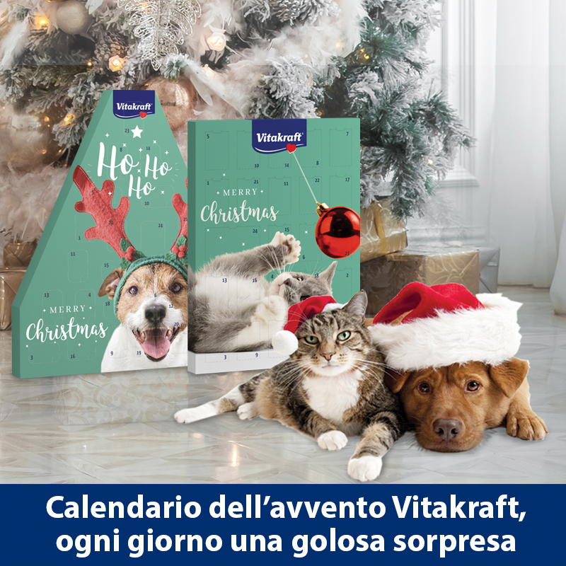 Testata-Home-Calendari-avvento-800x800-1